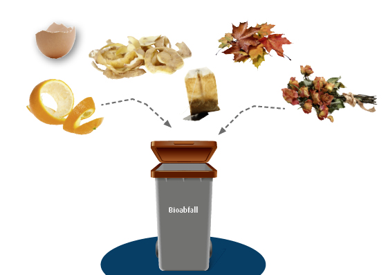 Biomüll gehört in die braune oder schwarze Tonne.