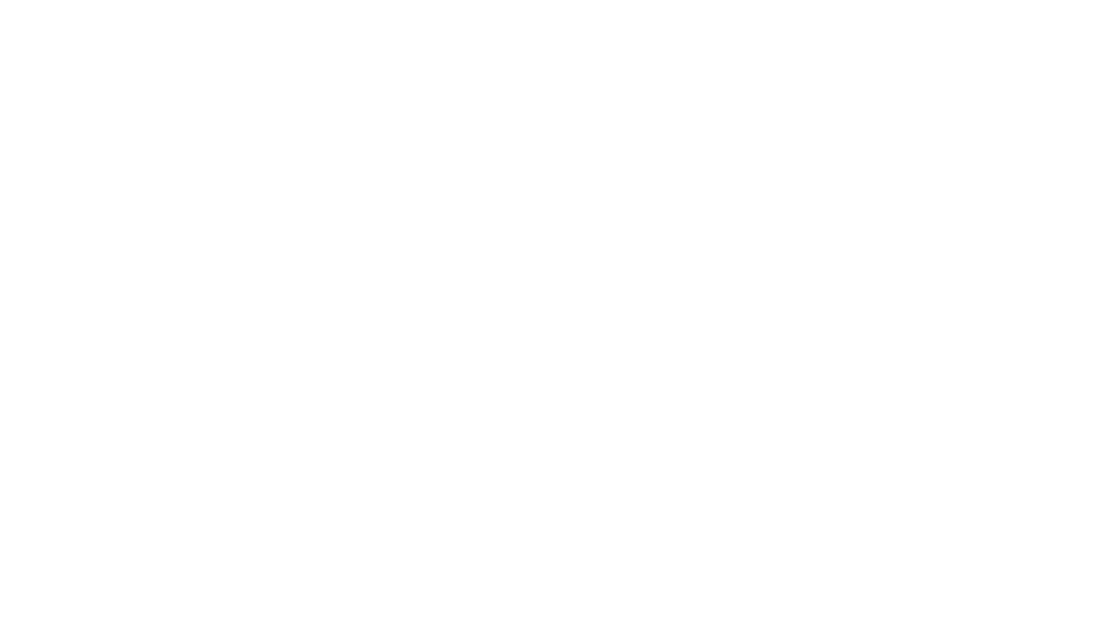 Wort-Bildmarke Elisabethentor