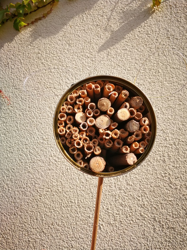 Äste in einer alten Konservendose.