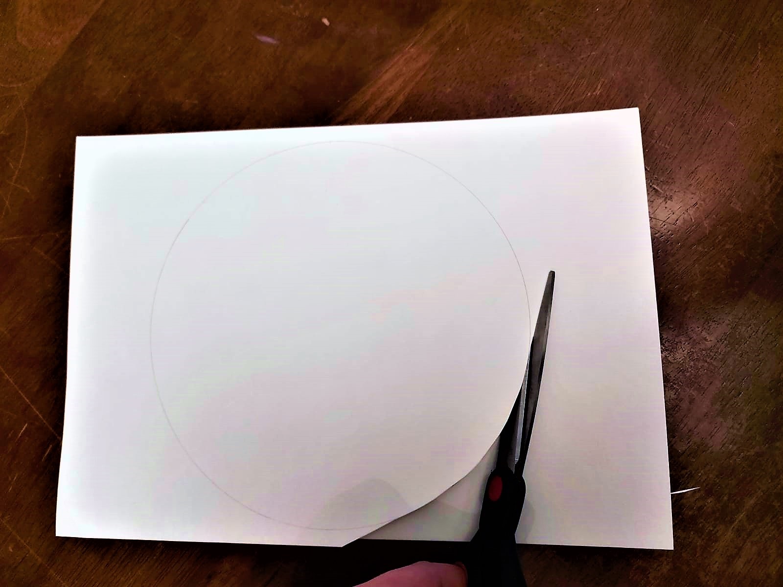 Mit der Schere wird ein Kreis aus dem Papier ausgeschnitten.