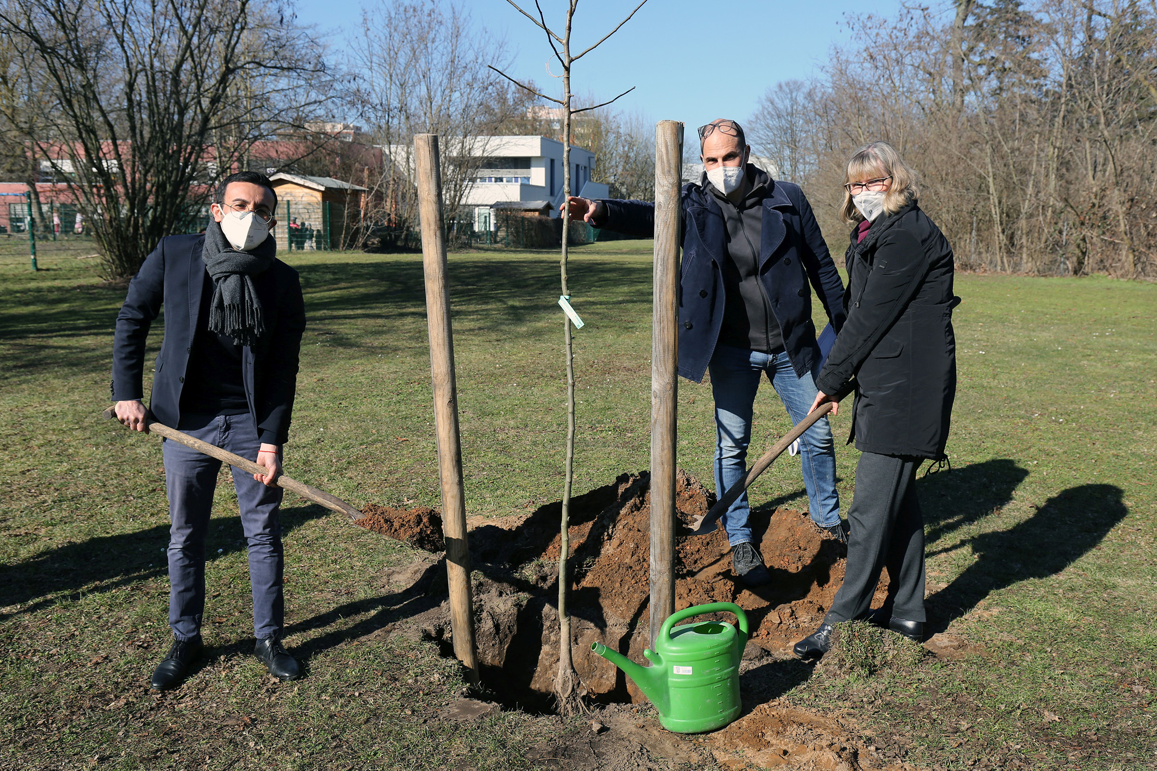 Pressefoto Pflanzung Birnbaum