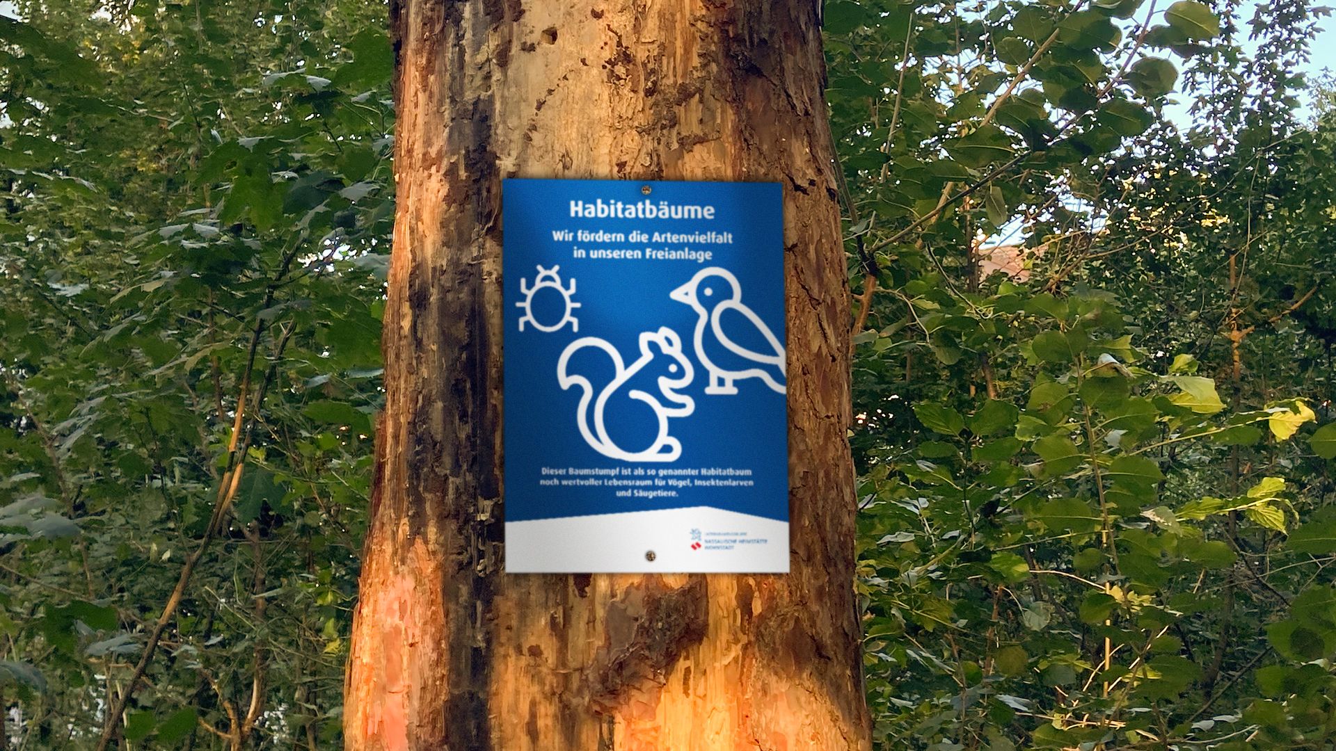 Schild an Baum