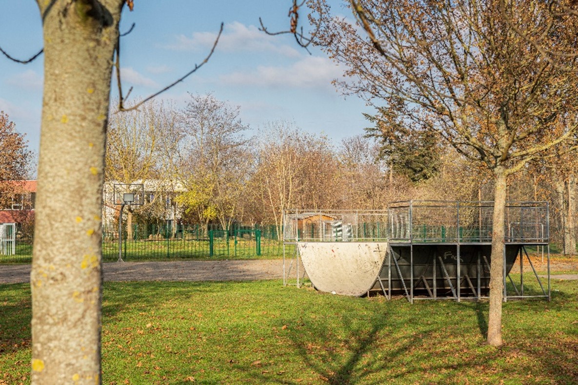 Halfpipe auf Wiese zwischen Bäumen