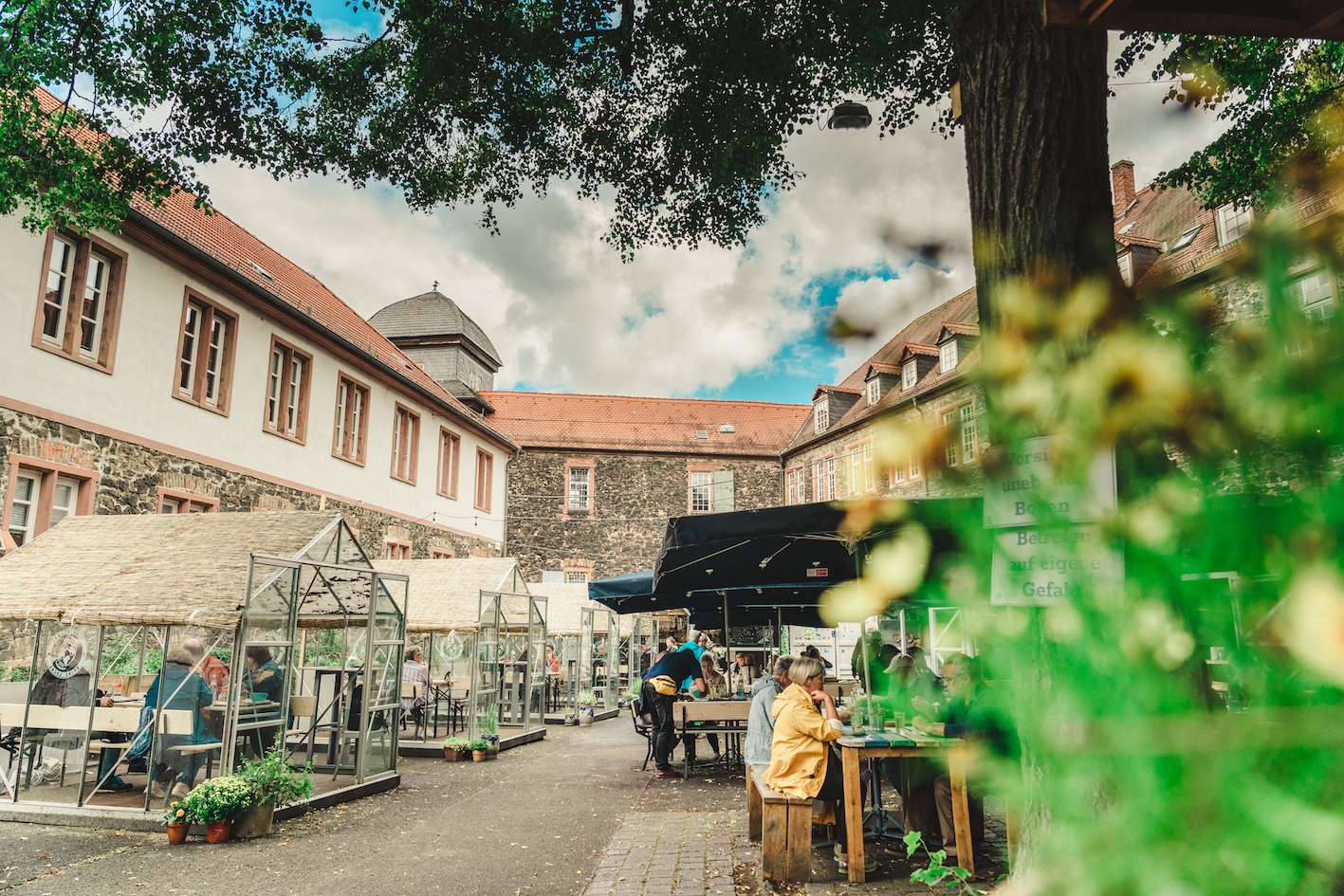 Haus, Straße und ein Baum im Vordergrund
