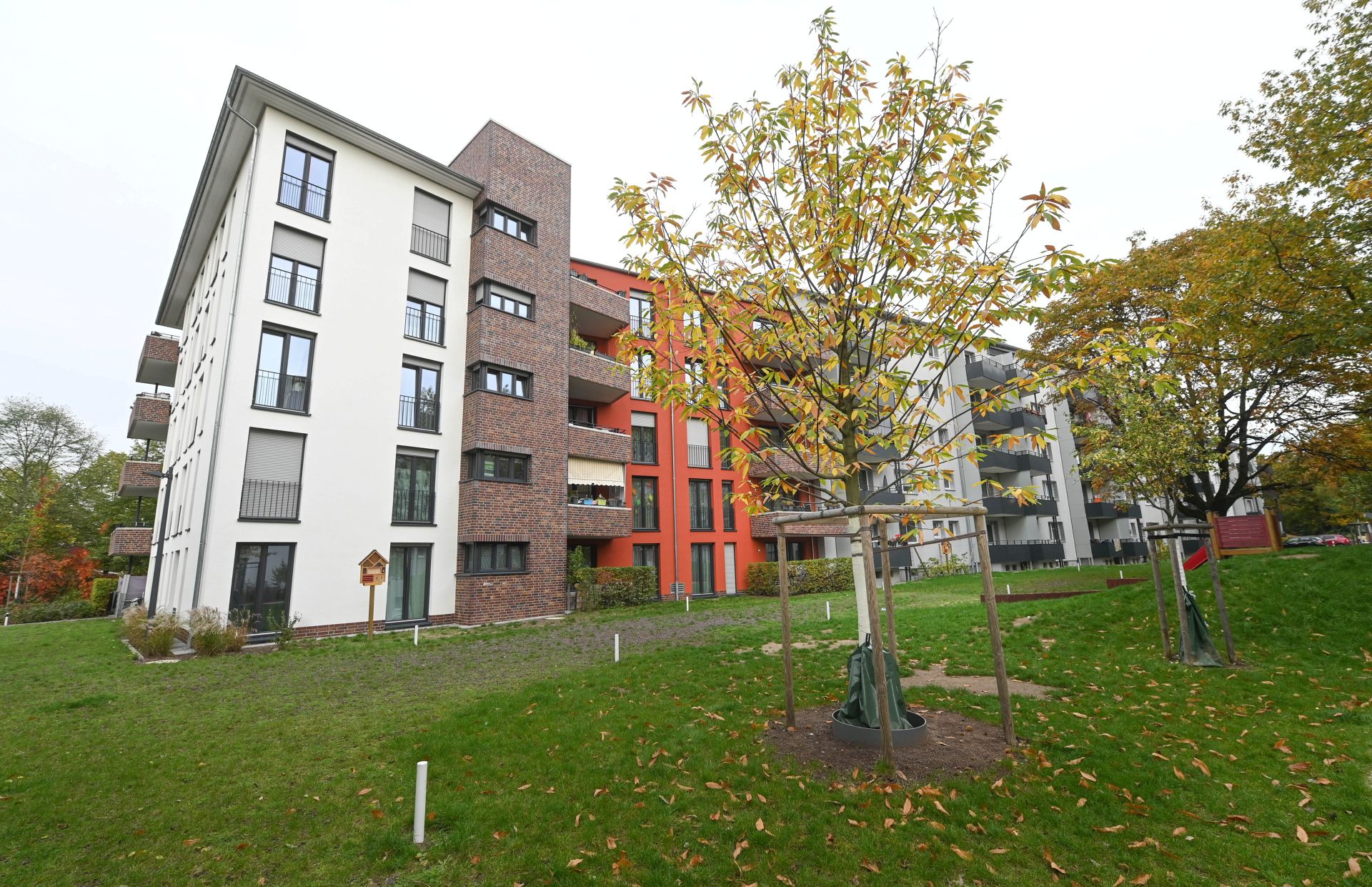 Bäume und Wohngebäude