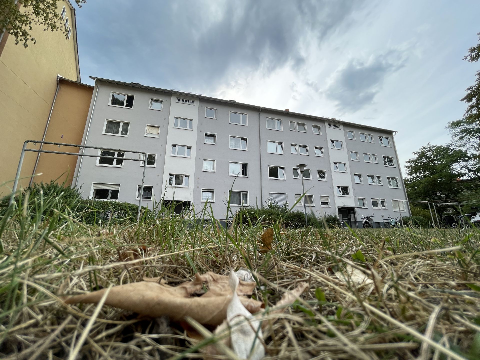 Blick von schräg unten auf ein Mehrfamilienhaus in der Adolf-Miersch-Siedlung, im Vordergrund Gras und Blätter