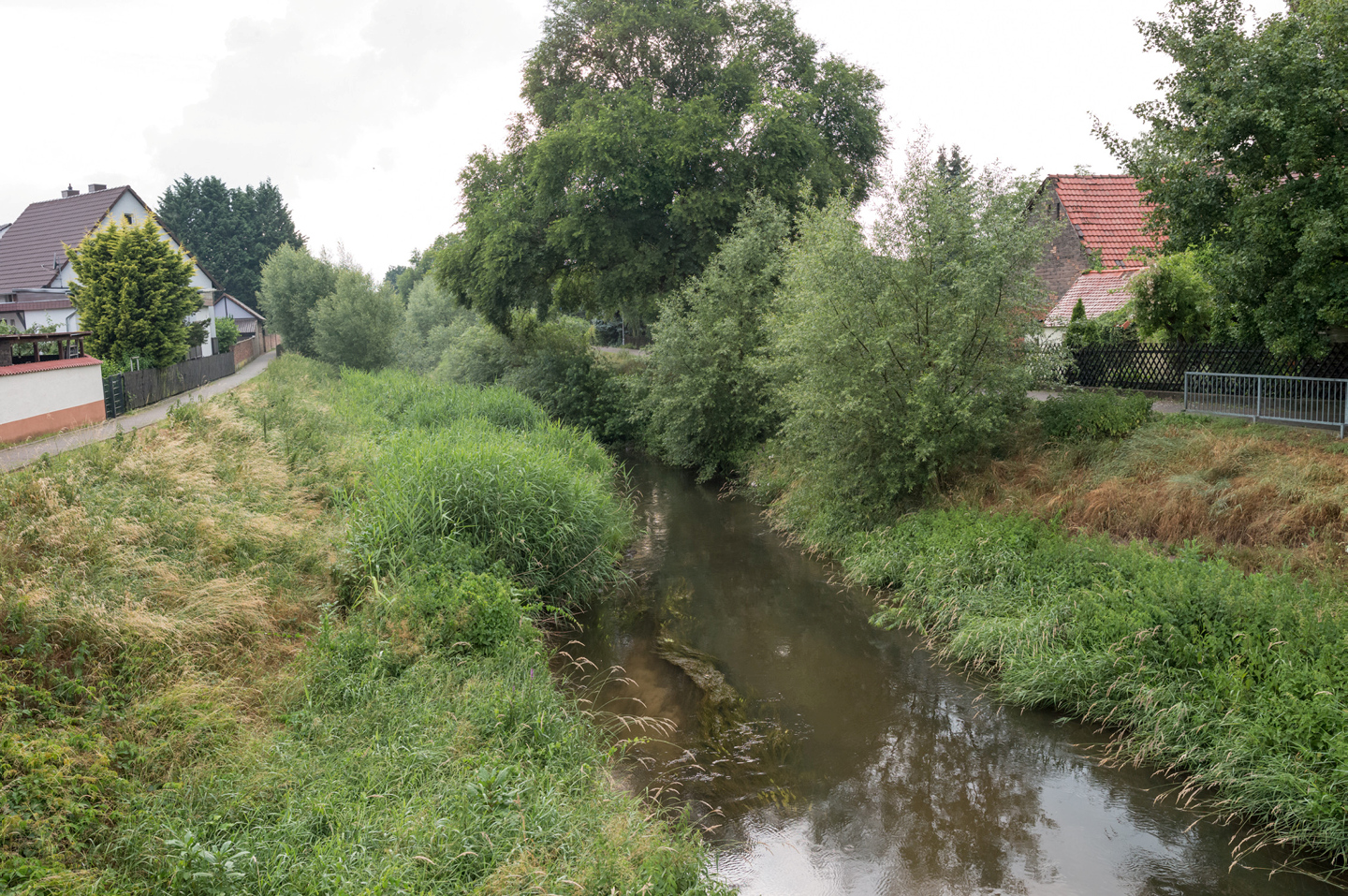 Weschnitz in Einhausen