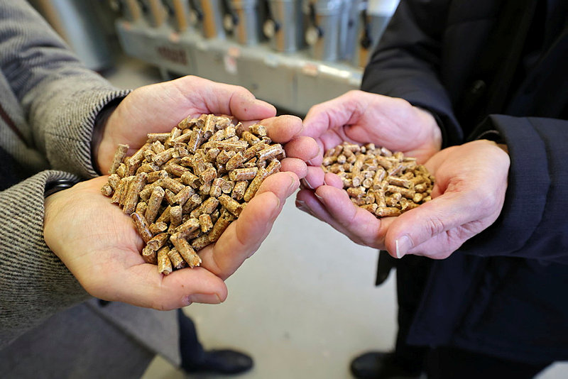 Zwei Personen halten je beide Hände voller Pellets