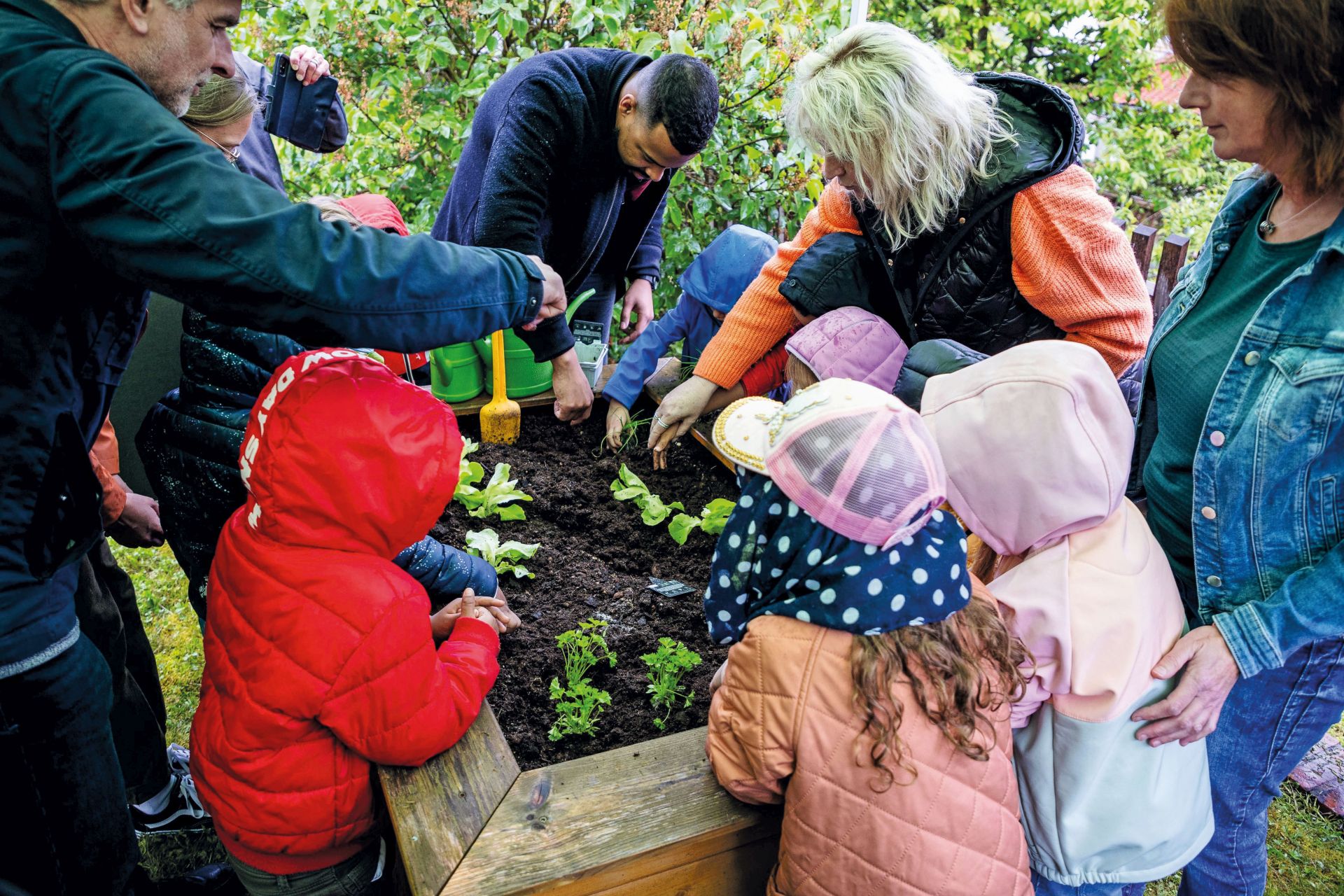 Erwachsene und Kinder pflanzen einige Pflanzen in ein Hochbeet ein.