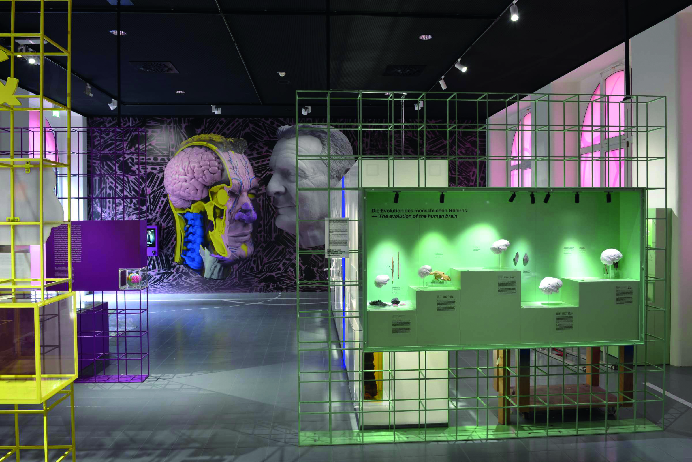 Blick in Ausstellung: Gehirne