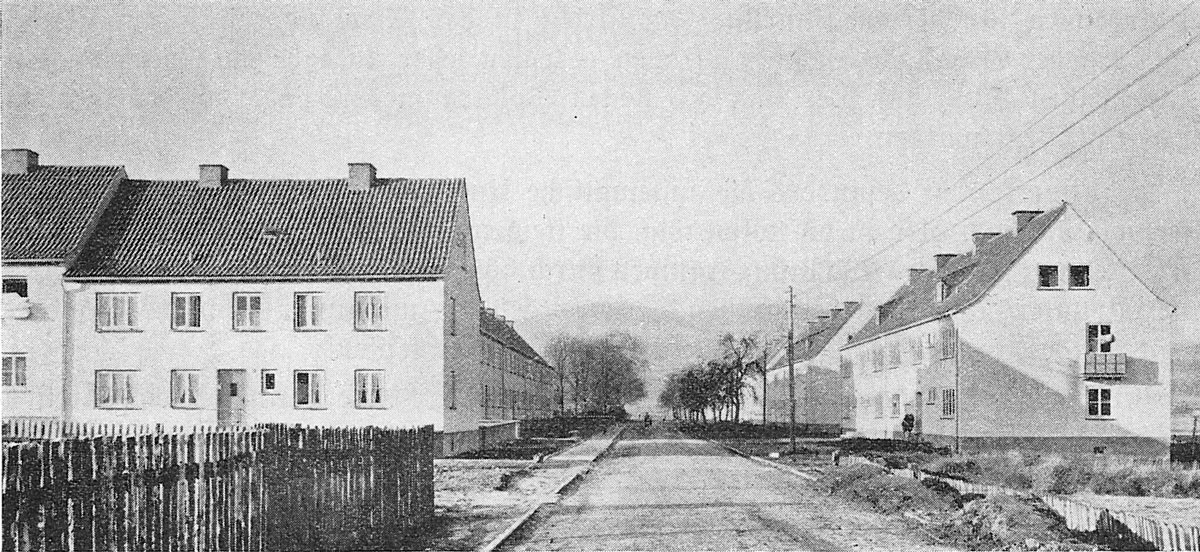 Die ersten Häuser kurz nach der Fertigstellung.